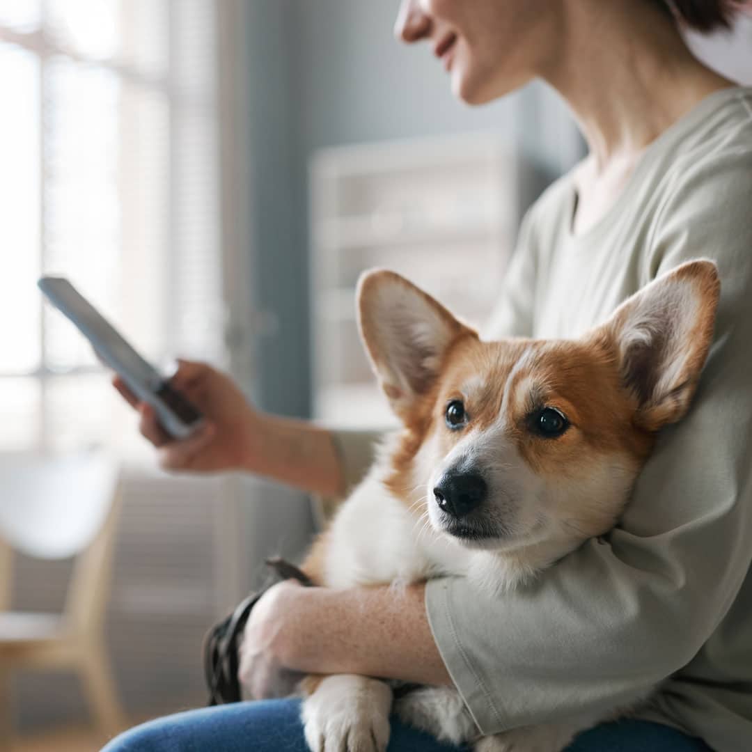 woman holding her dog and using a smartphone