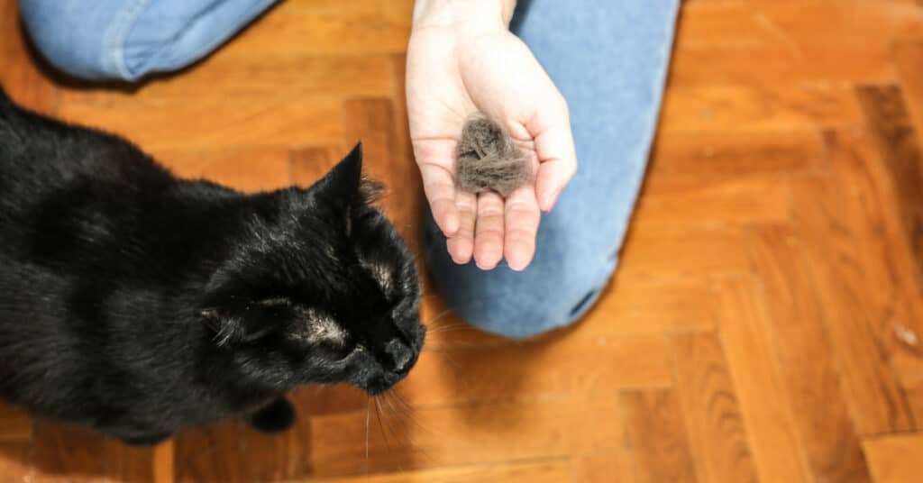 woman holding clump of fur after brushing black cat