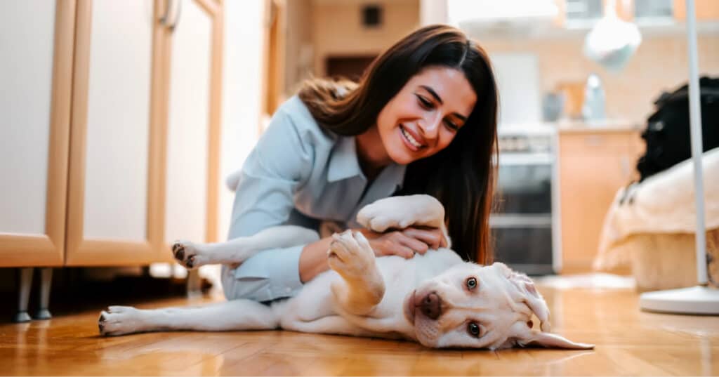 young female owner petting puppy as it lays on the floor at home